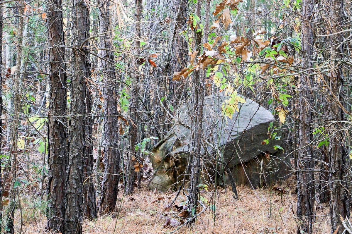 Stone Creek Phase III Tract 7 photo 2