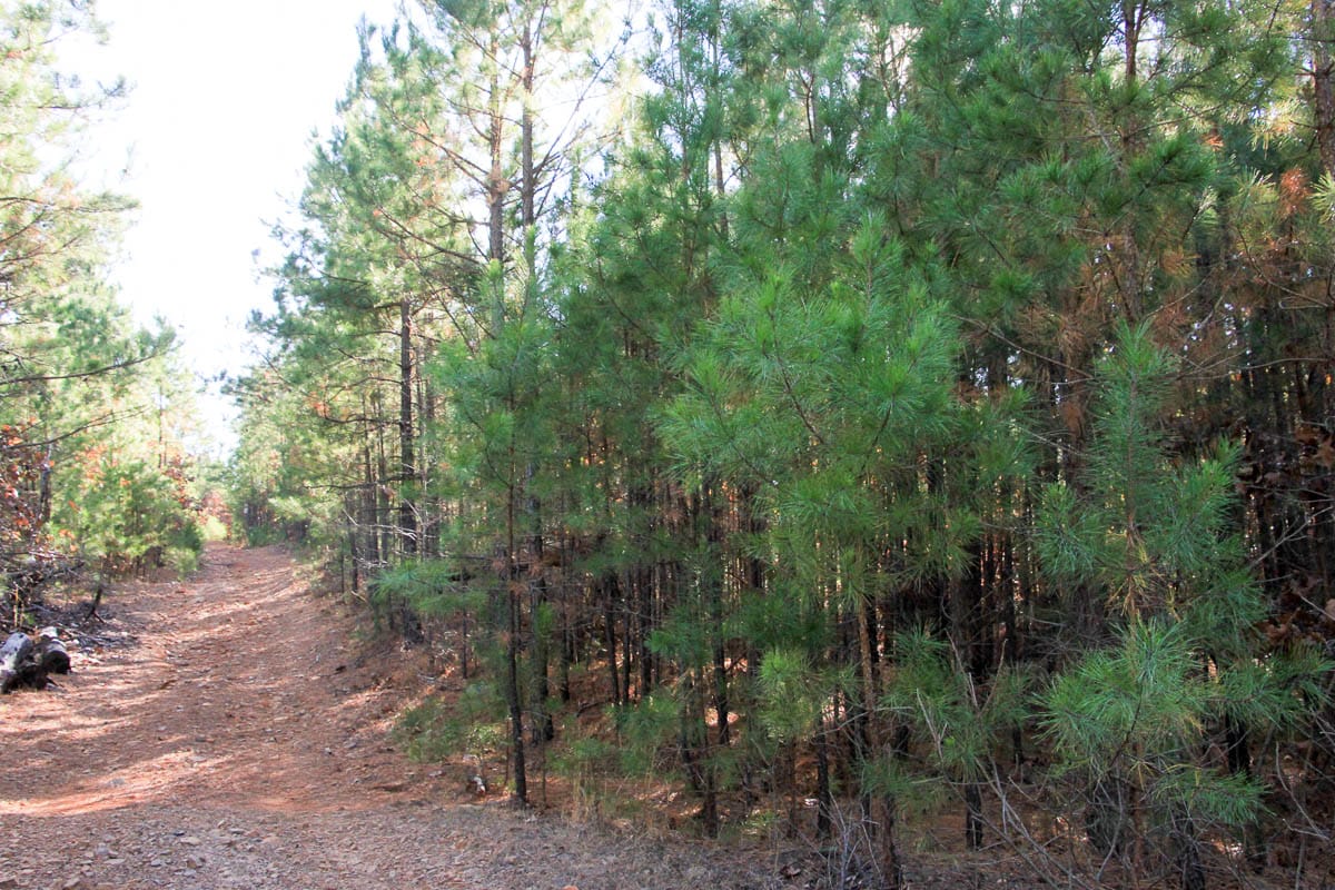 Stone Creek Phase III Tract 7 photo 4