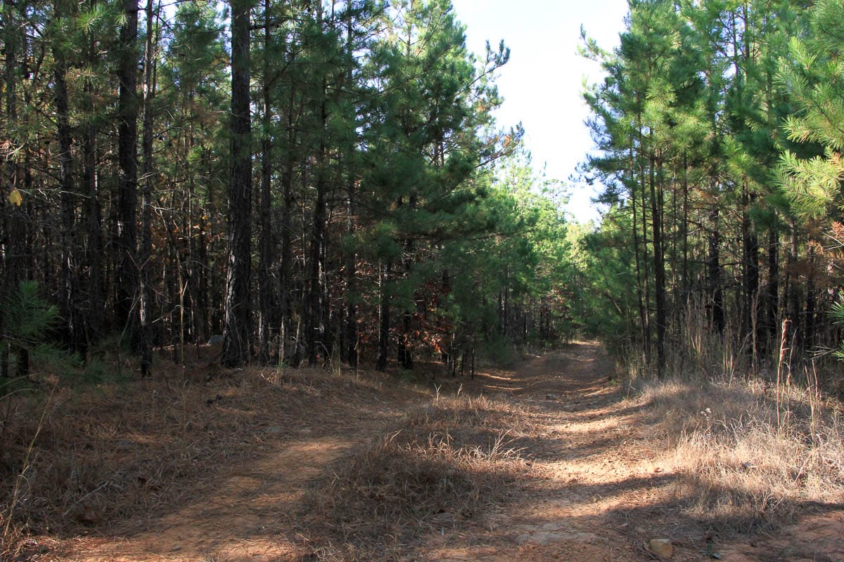 Stone Creek Phase III Tract 7 photo 8