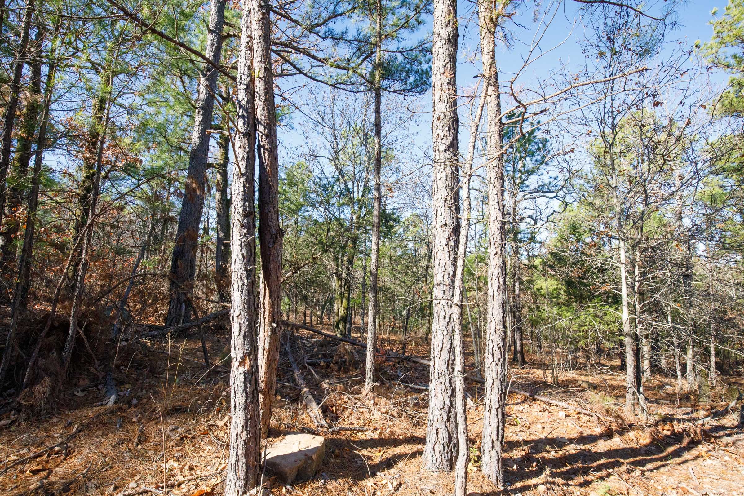Stone Bridge Phase II Tract 110 photo 2