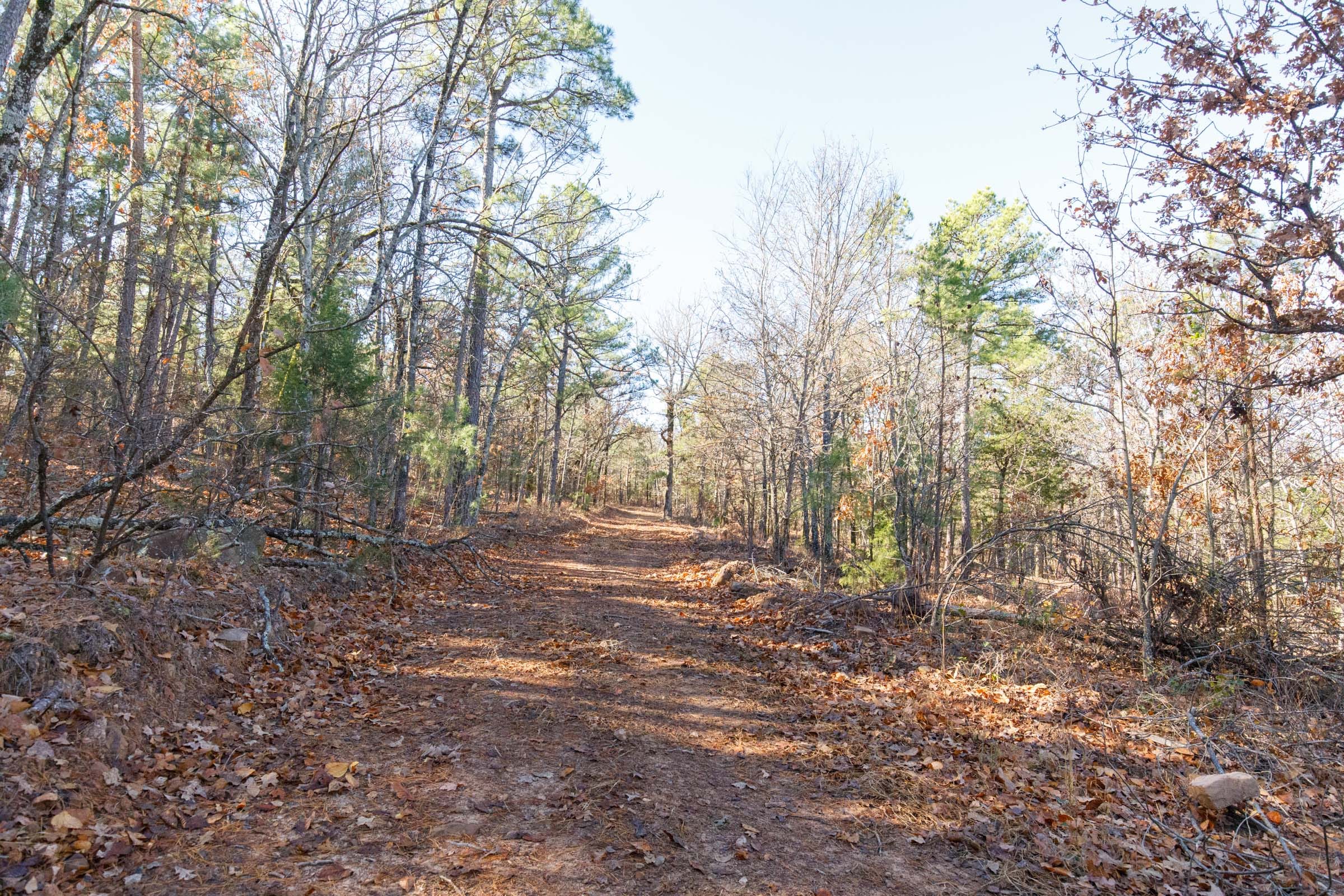 Stone Bridge Phase II Tract 110 photo 1