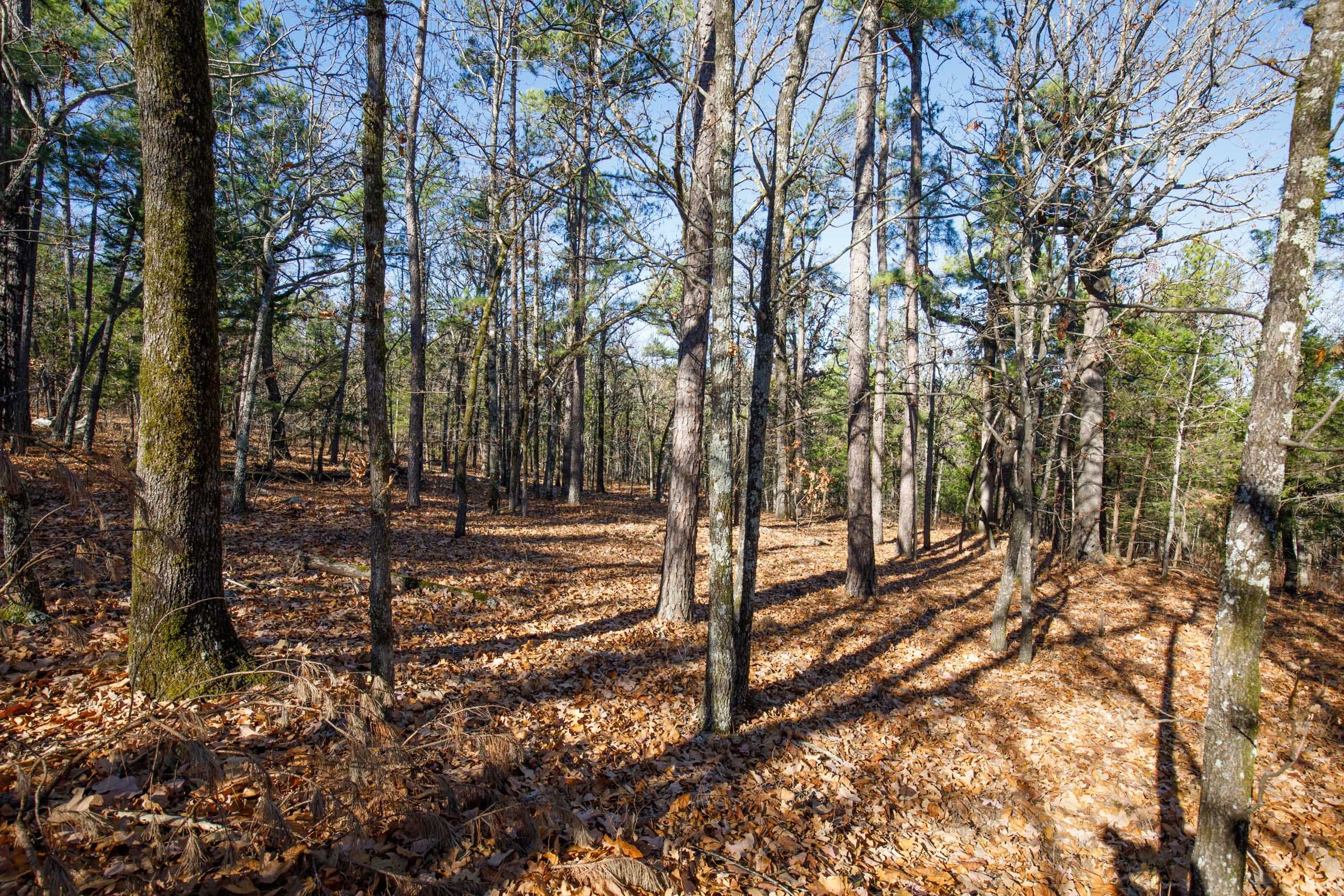 Stone Bridge Phase II Tract 110 photo 4