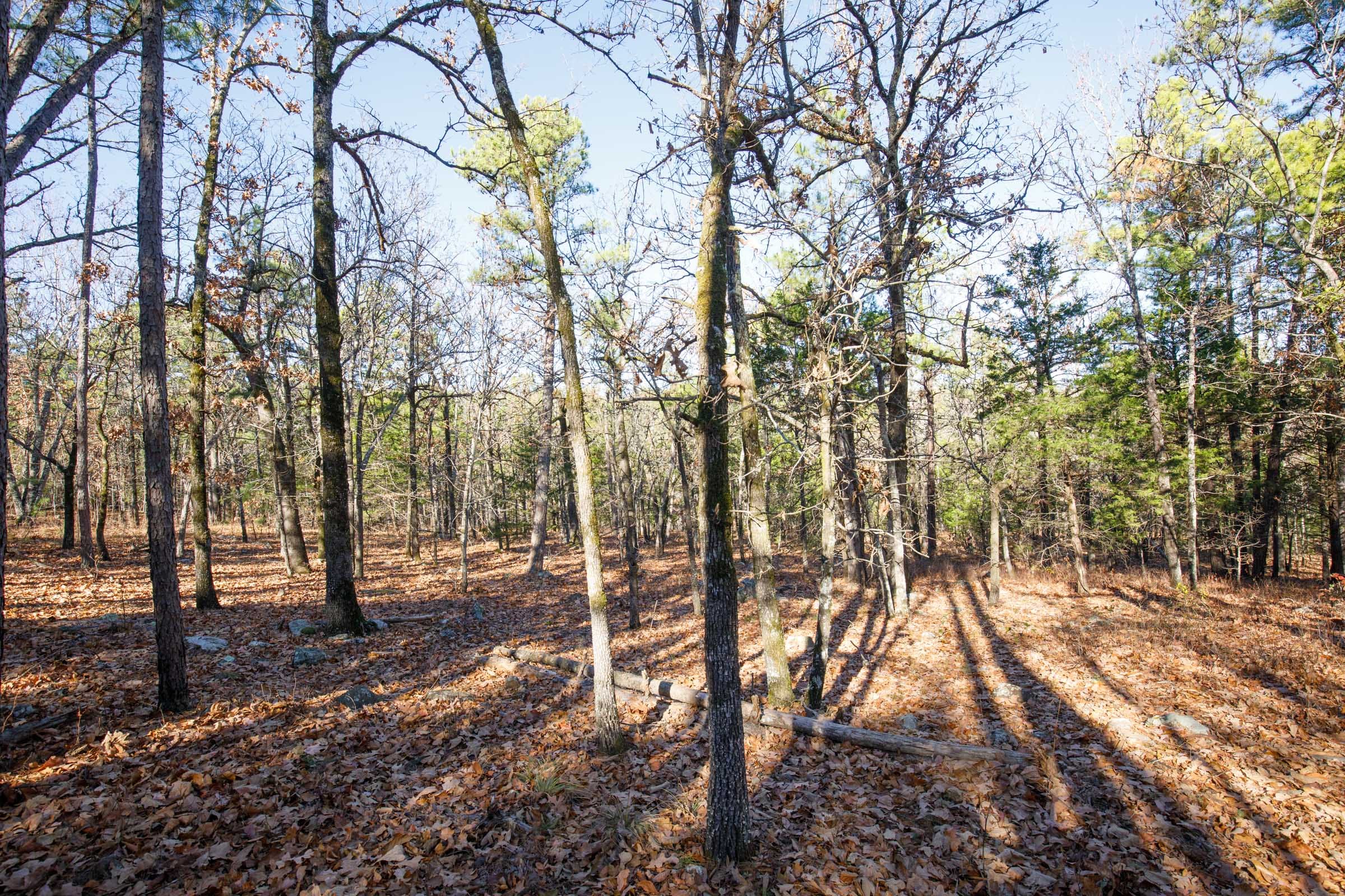 Stone Bridge Phase II Tract 110 photo 6