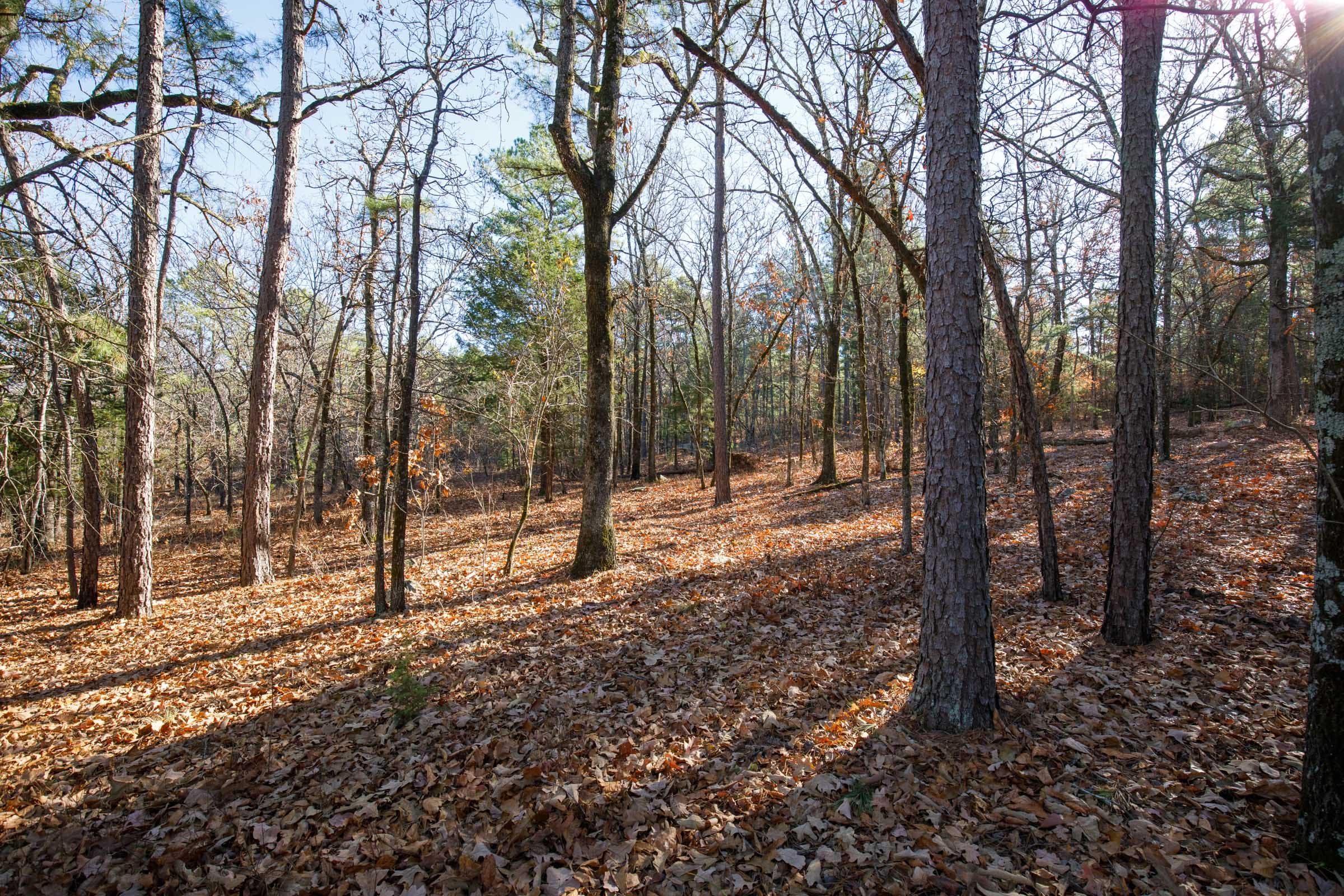 Stone Bridge Phase II Tract 110 photo 12