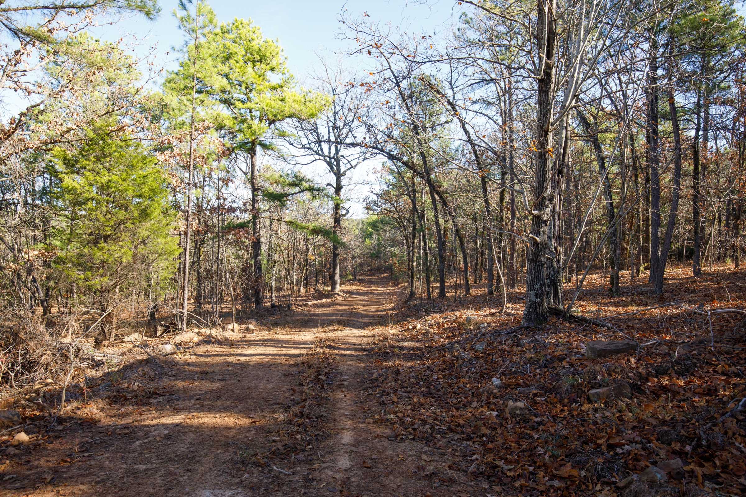 Stone Bridge Phase II Tract 110 photo 11