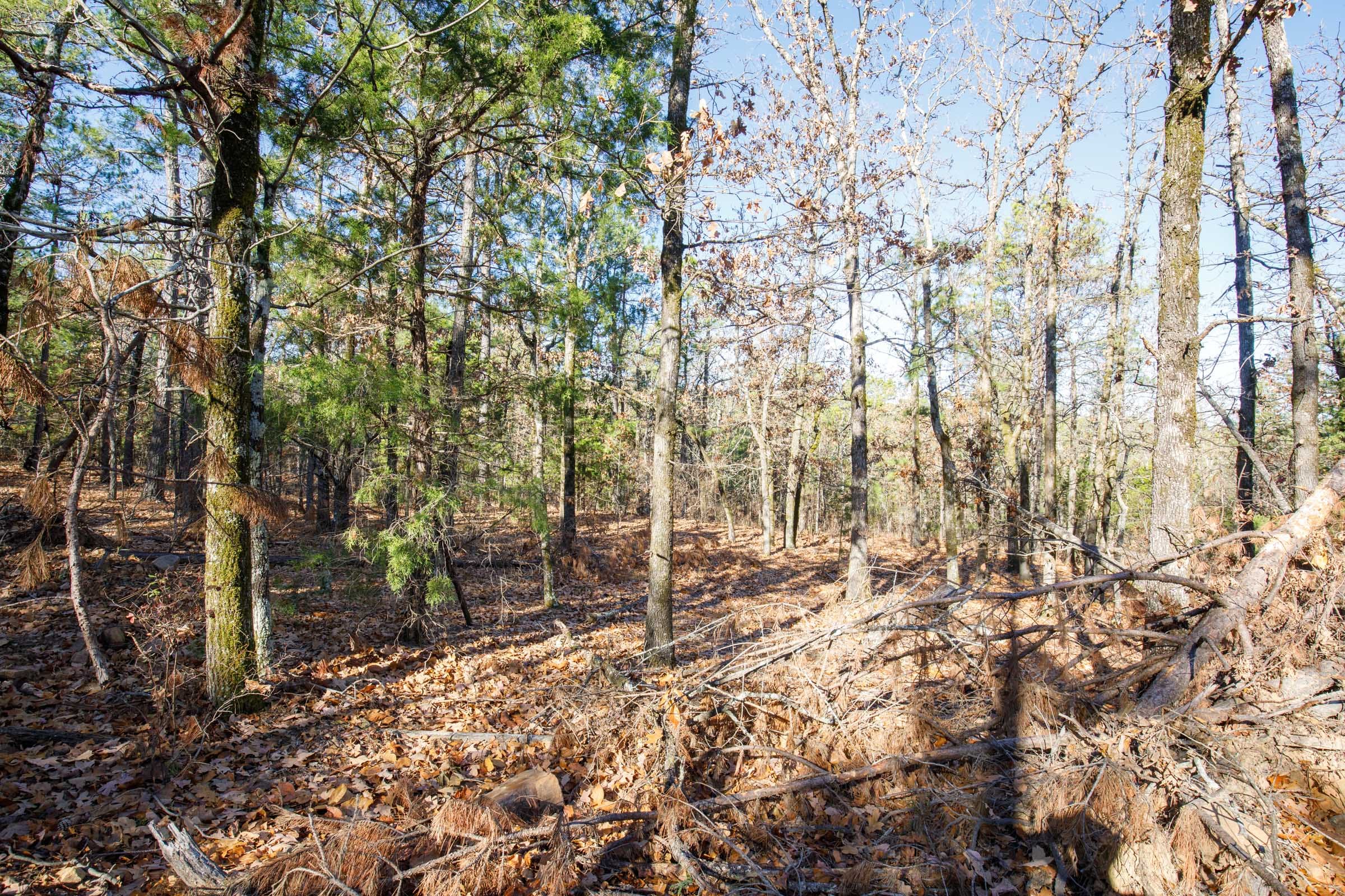 Stone Bridge Phase II Tract 110 photo 13