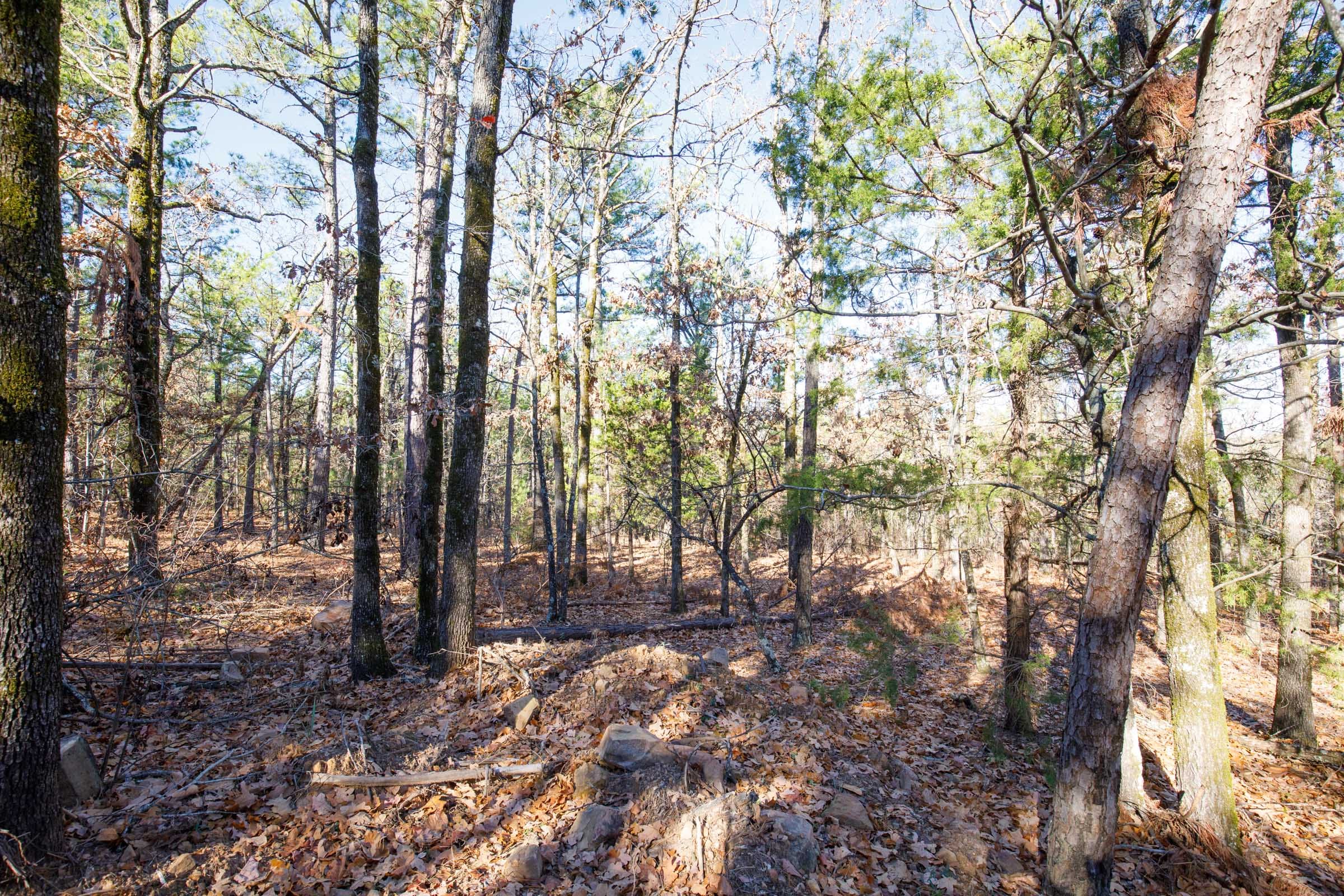 Stone Bridge Phase II Tract 110 photo 14