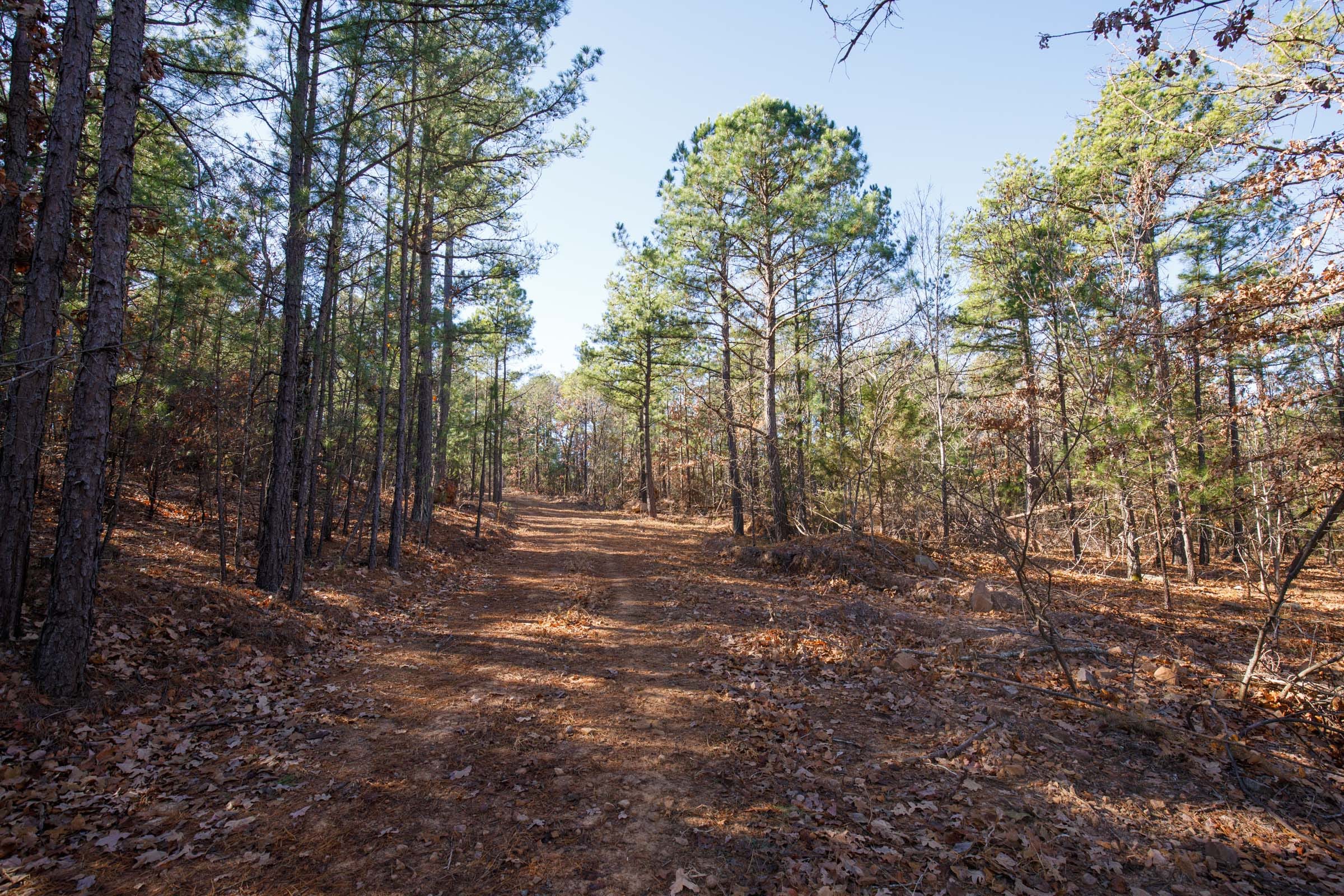 Stone Bridge Phase II Tract 110 photo 7