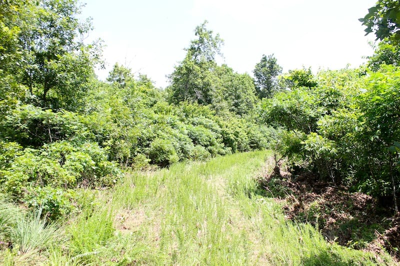 Green Mountain Ranch Tract 19 photo 1