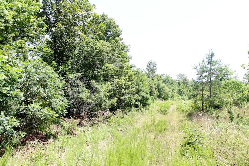 Green Mountain Ranch Tract 19 photo 3