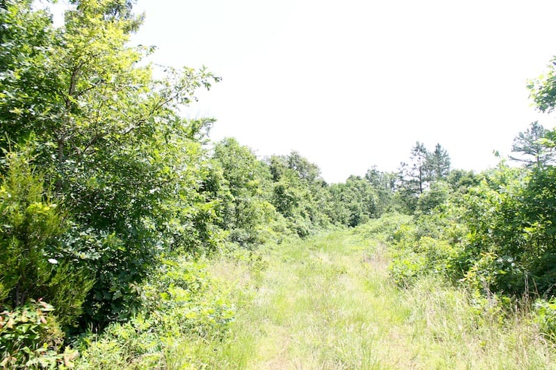 Green Mountain Ranch Tract 19 photo 8