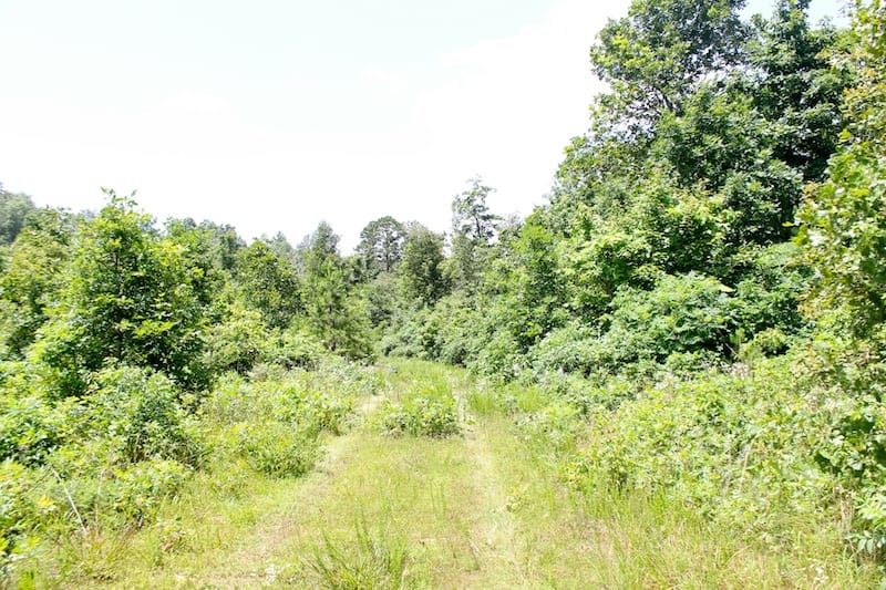 Green Mountain Ranch Tract 19 photo 9