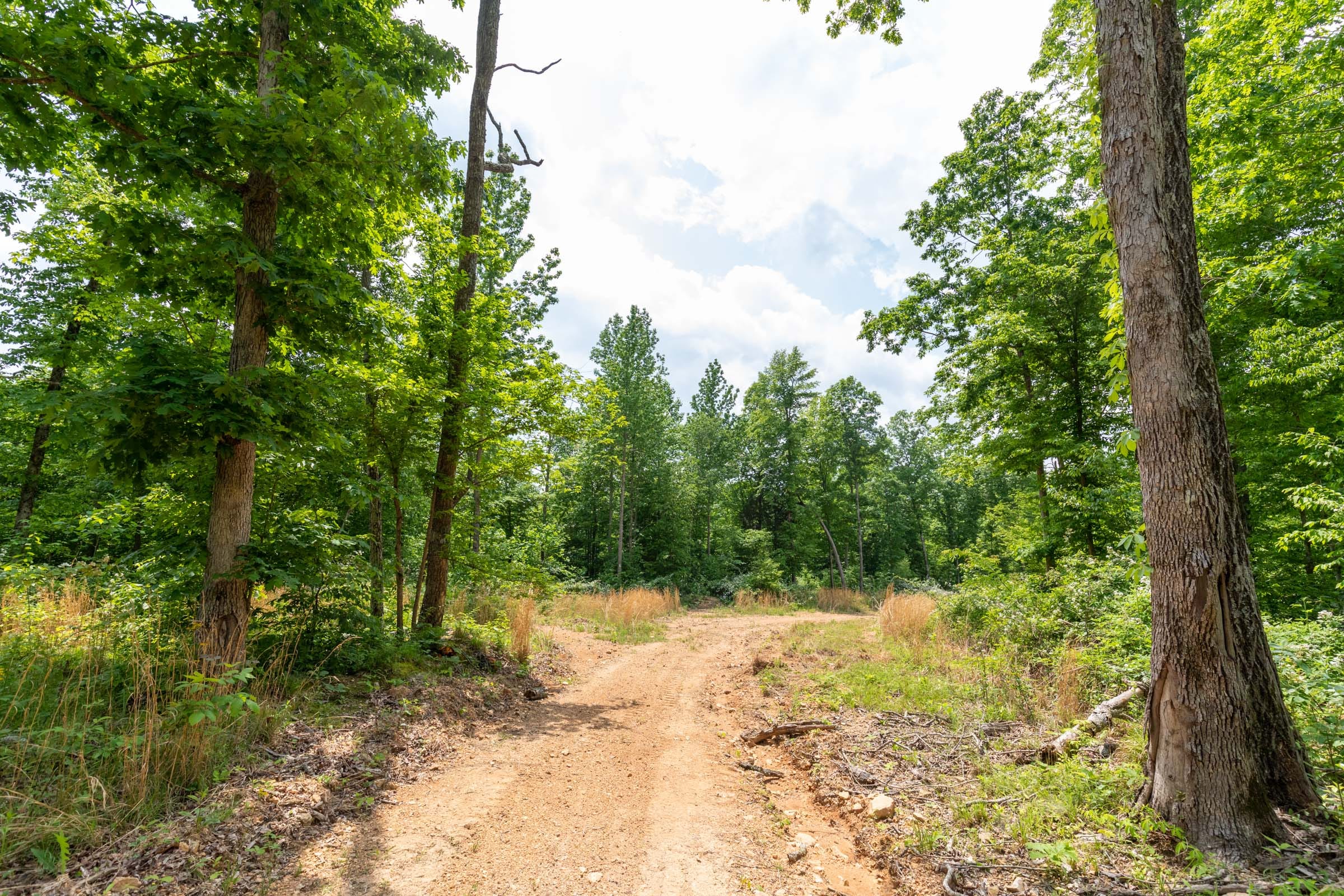 Cedar Creek Tract 27 photo 3