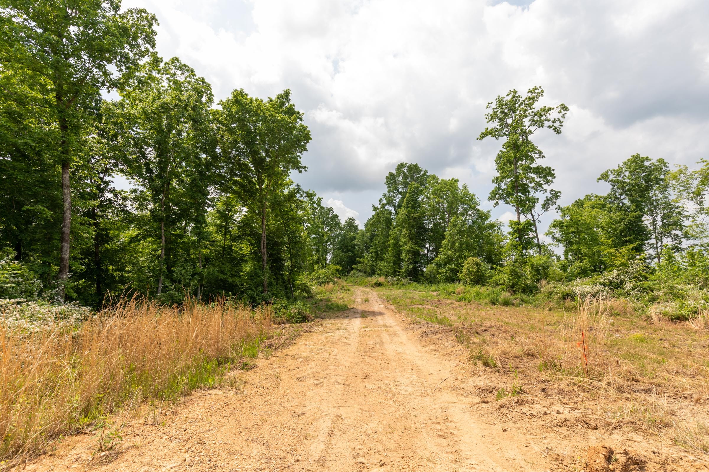 Cedar Creek Tract 27 photo 1