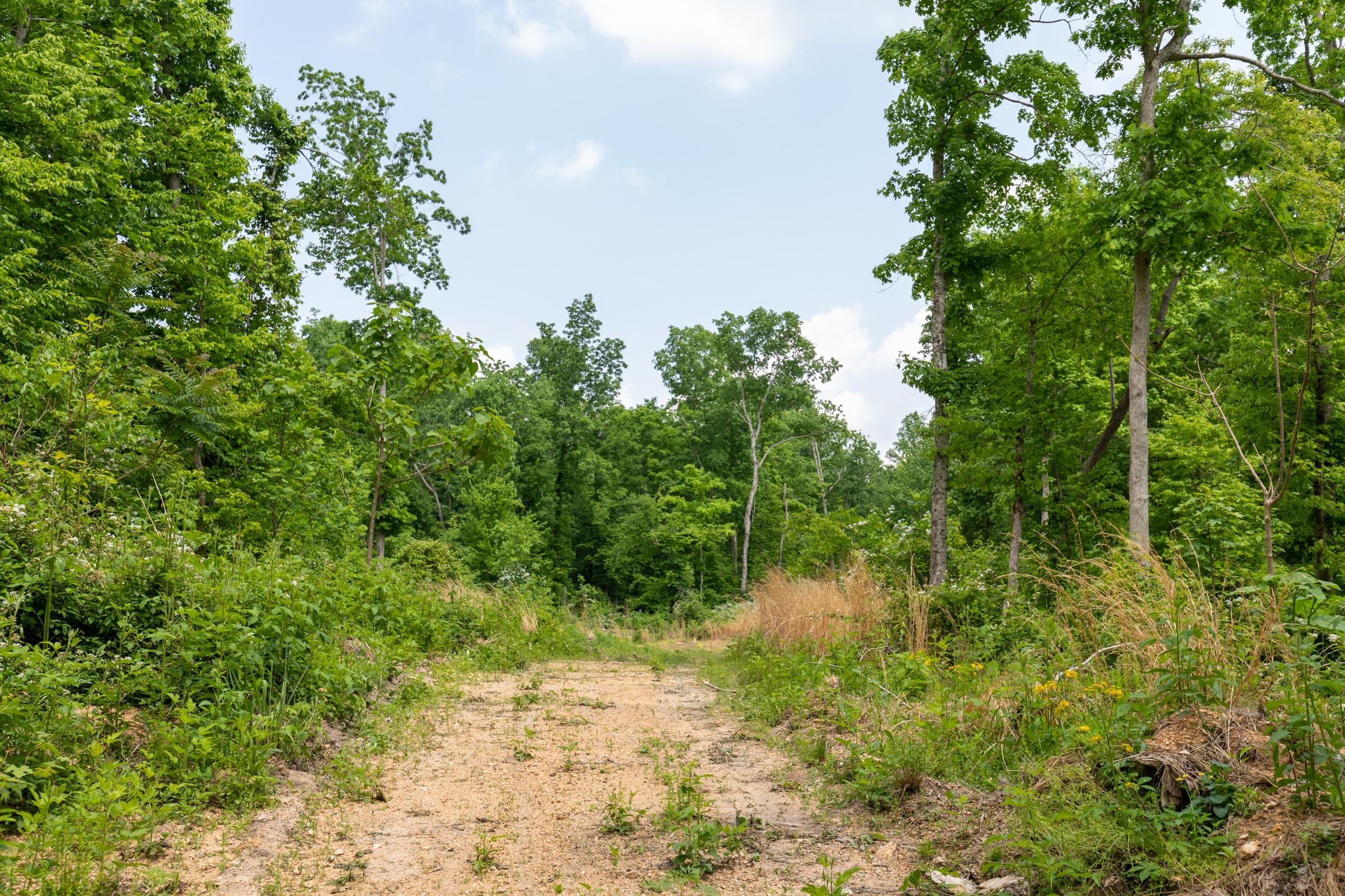 Cedar Creek Tract 27 photo 5