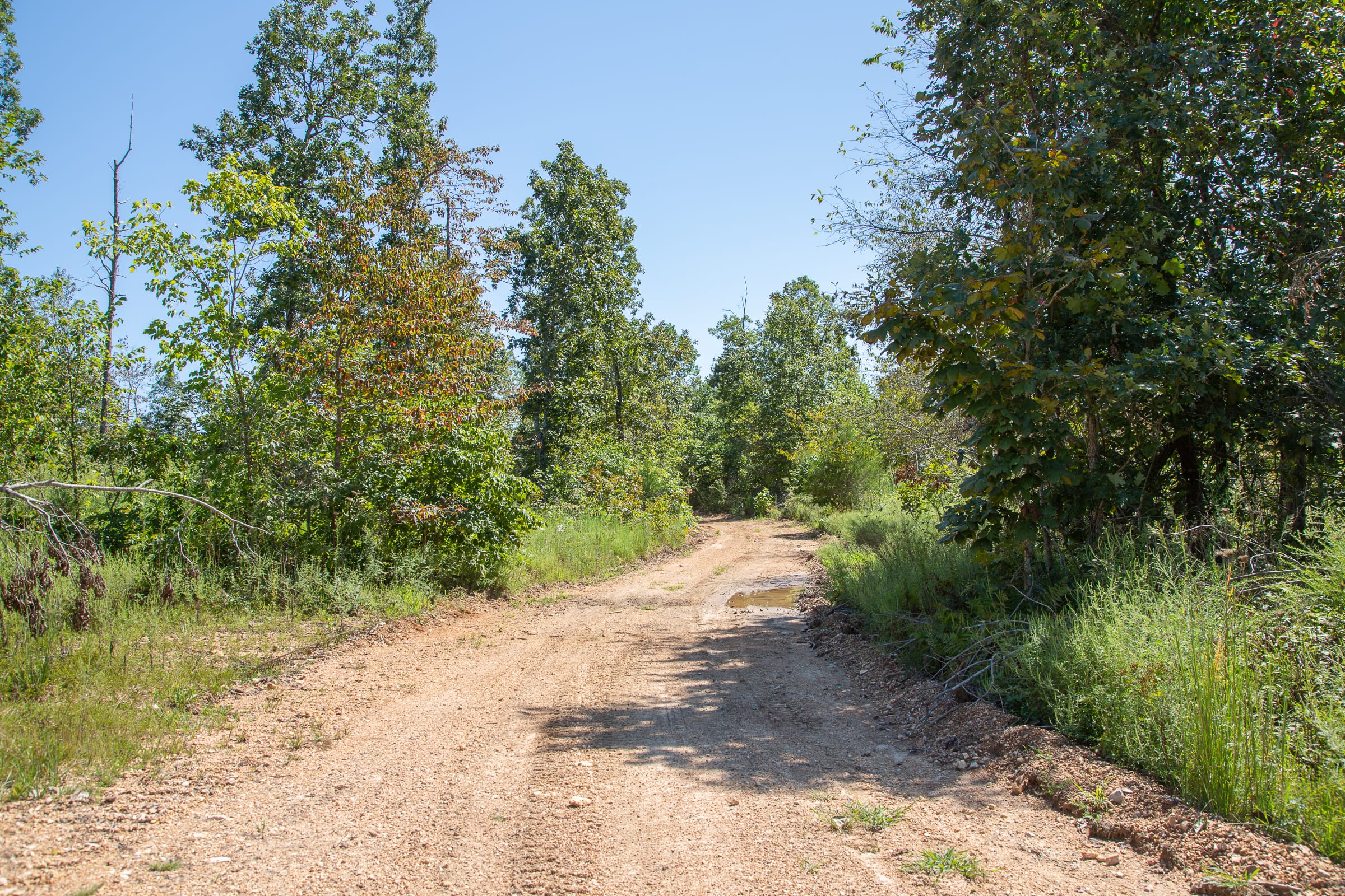 Borgmann’s Hollow Phase III Tract 82 photo 1