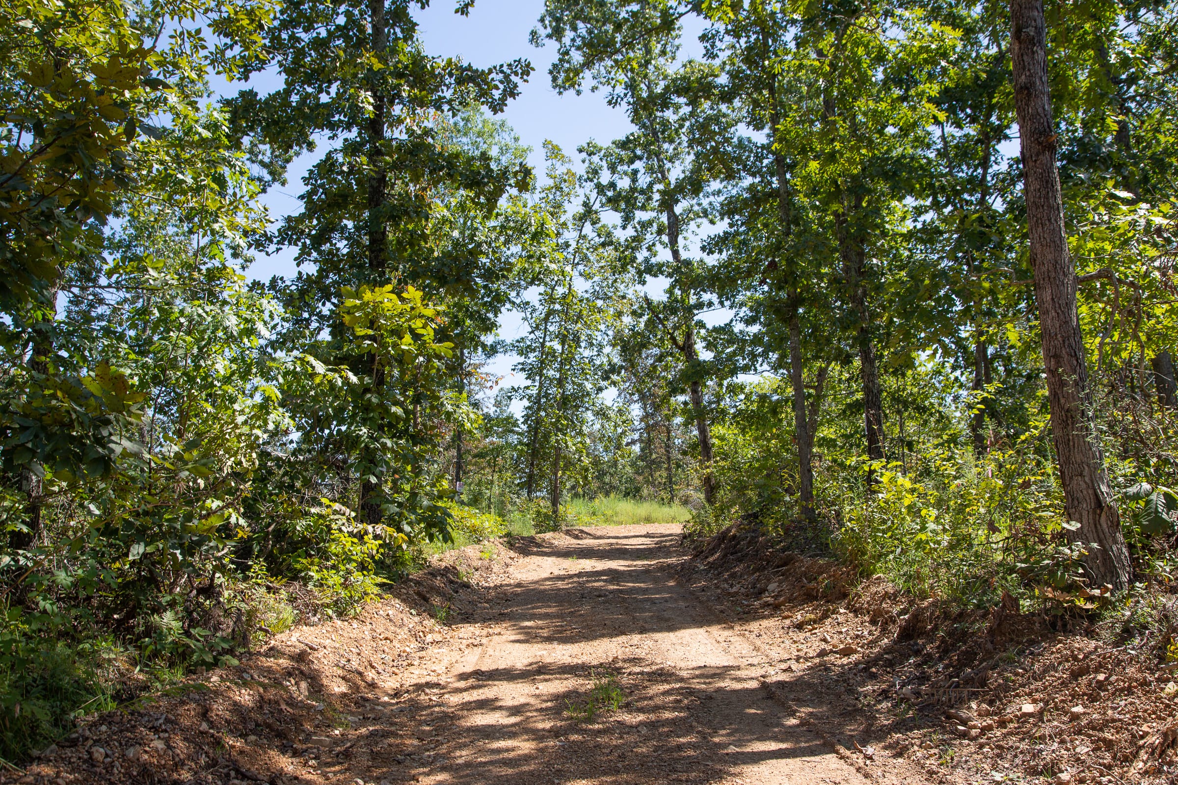 Borgmann’s Hollow Phase III Tract 82 photo 8