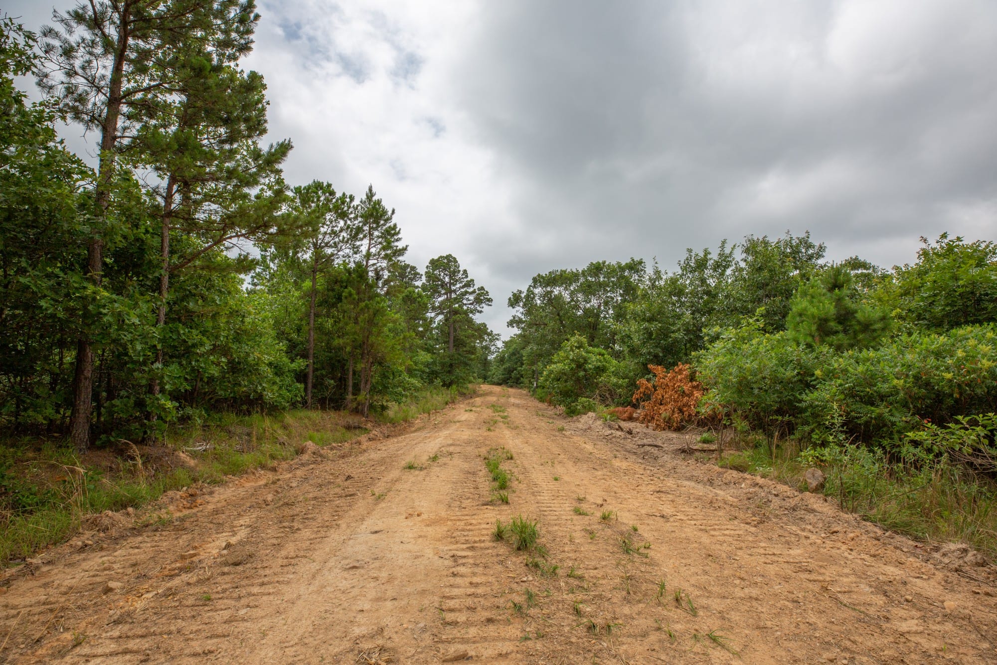 Eagle’s Nest Tract 60 photo 1