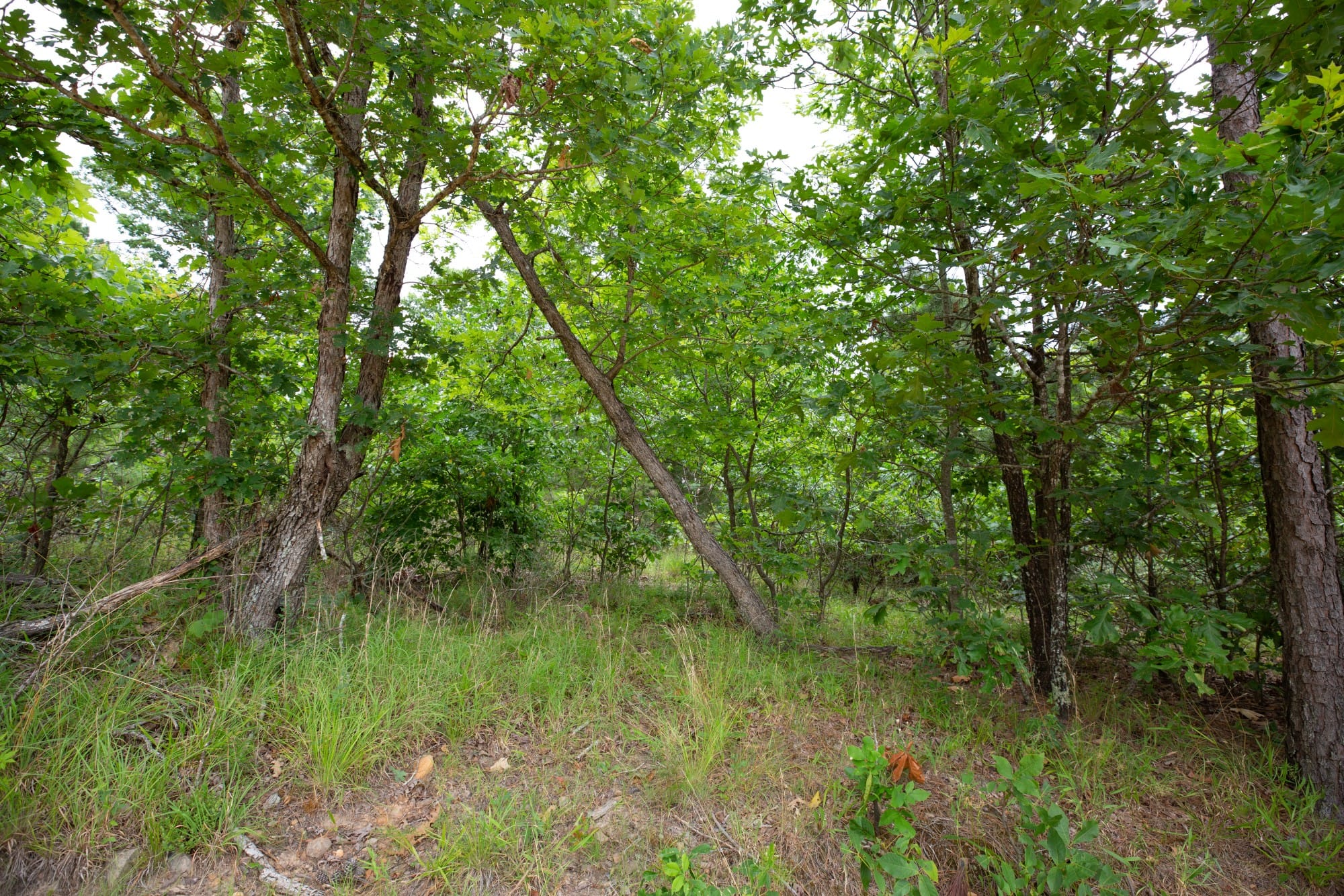 Eagle’s Nest Tract 60 photo 2
