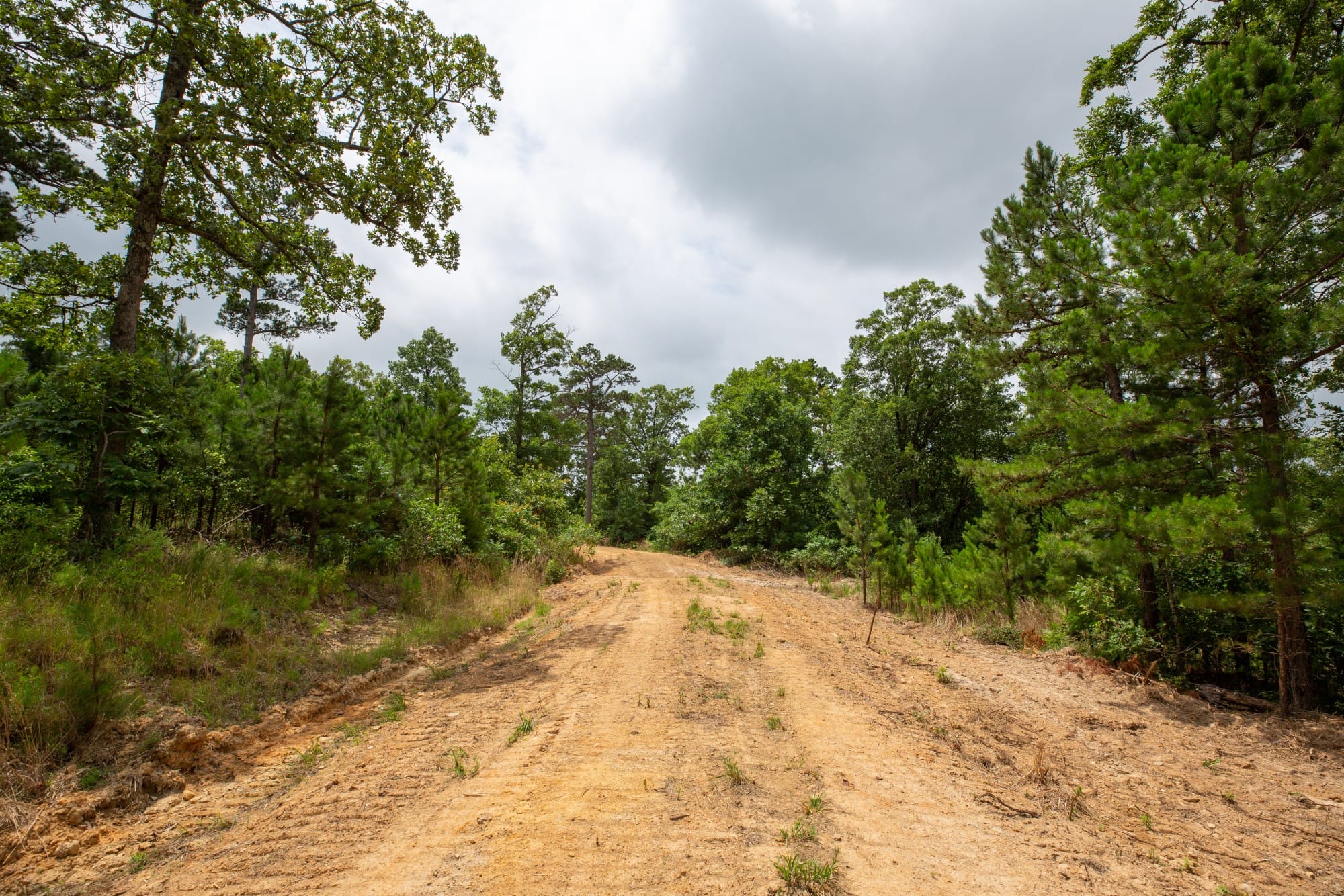 Eagle’s Nest Tract 60 photo 5