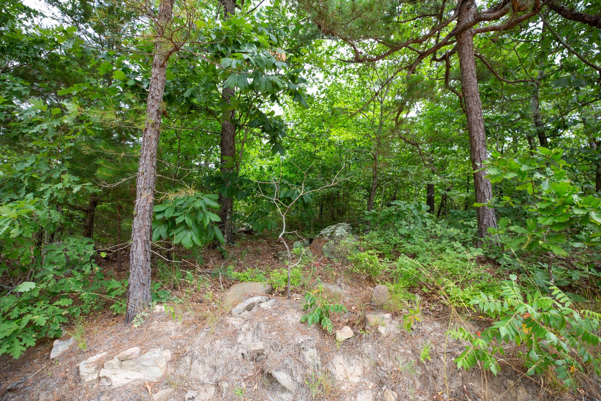 Eagle’s Nest Tract 60 photo 7
