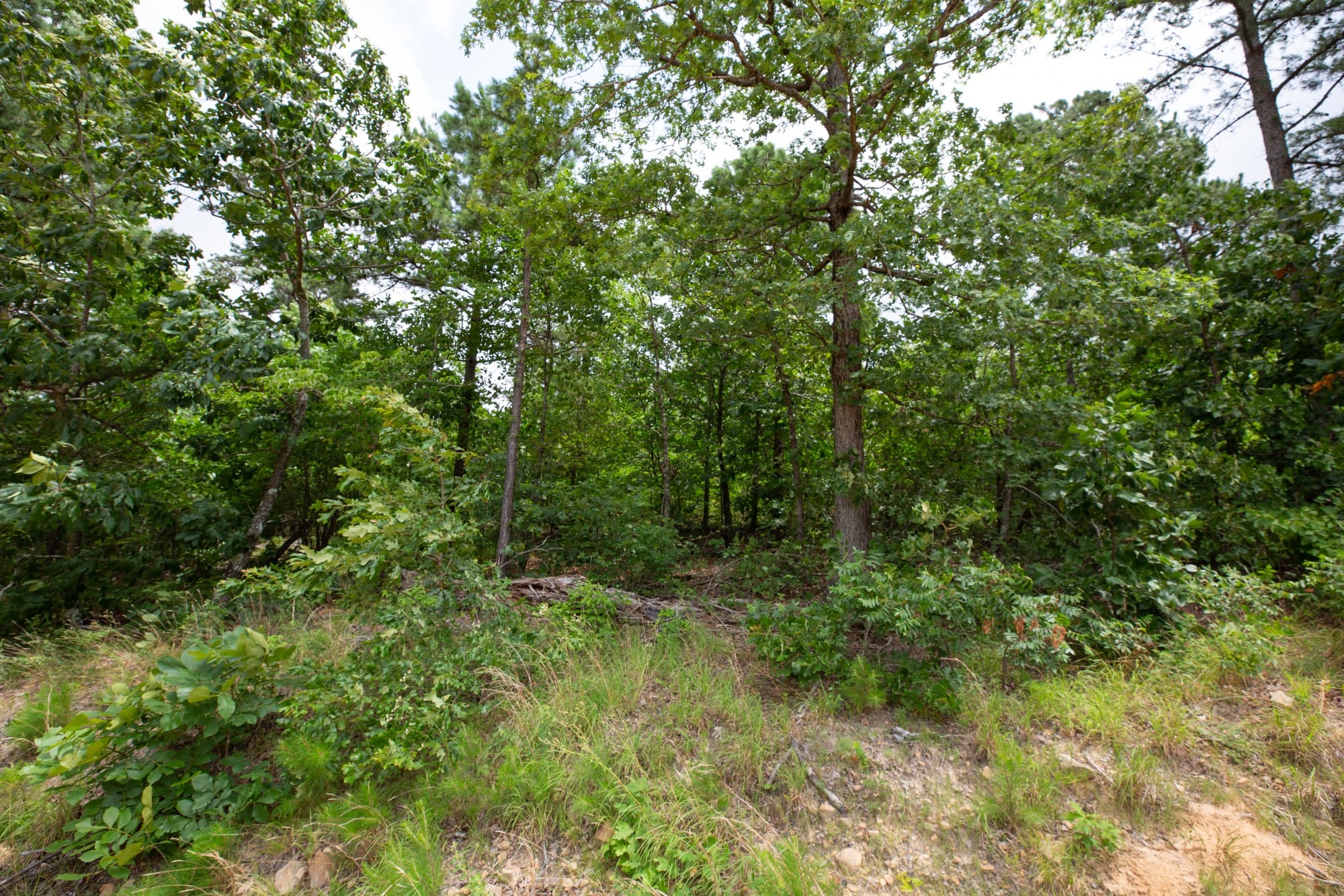 Eagle’s Nest Tract 60 photo 8