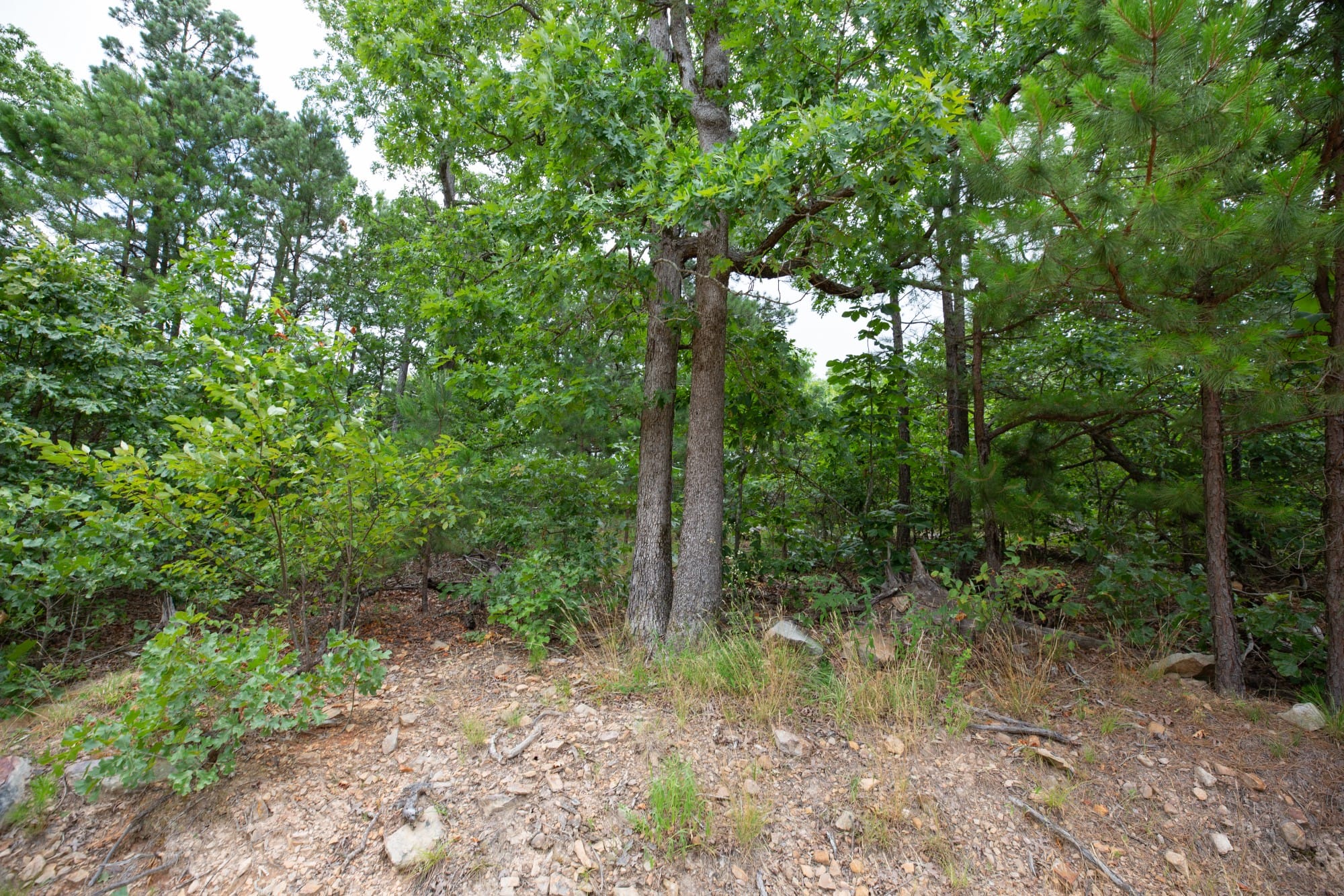 Eagle’s Nest Tract 60 photo 9