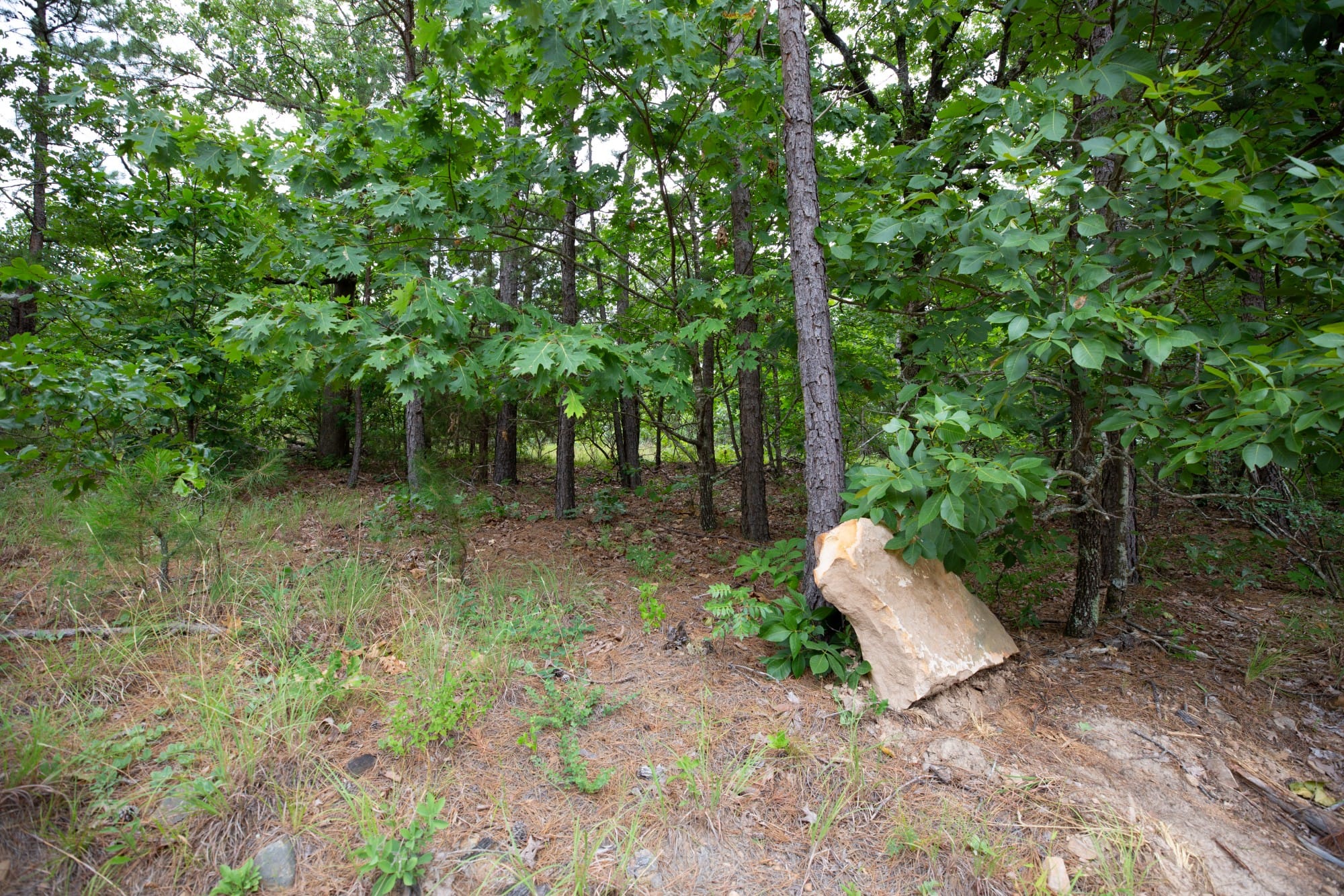 Eagle’s Nest Tract 60 photo 12