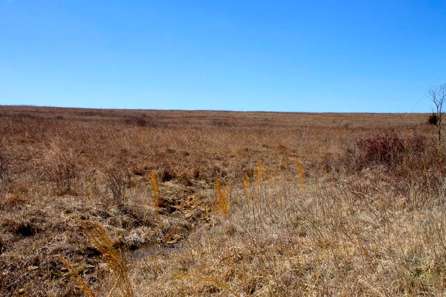 Cowboy Meadows Tract 8 photo 7