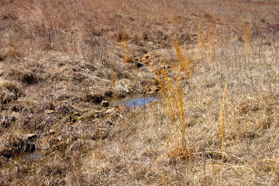 Cowboy Meadows Tract 8 photo 8