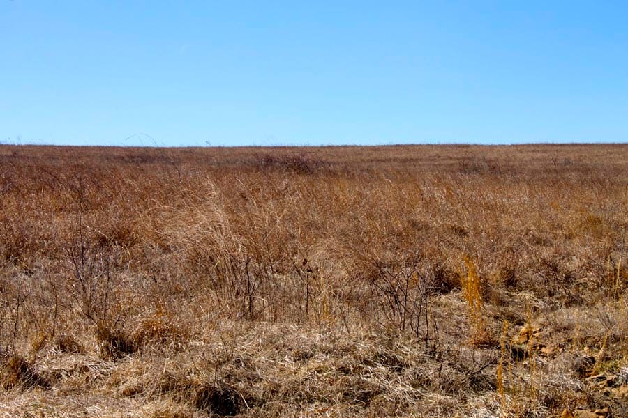 Cowboy Meadows Tract 8 photo 9