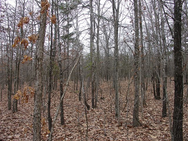 Barnes Hollow Tract 2 photo 3
