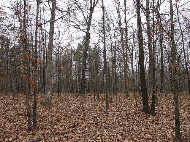 Barnes Hollow Tract 2 photo 4