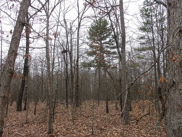 Barnes Hollow Tract 2 photo 5