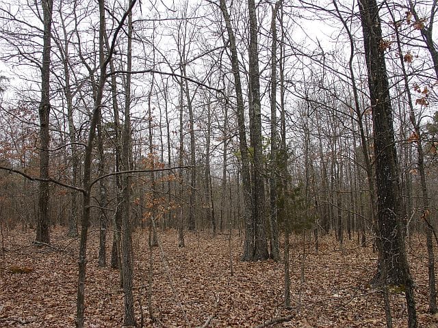 Barnes Hollow Tract 2 photo 6