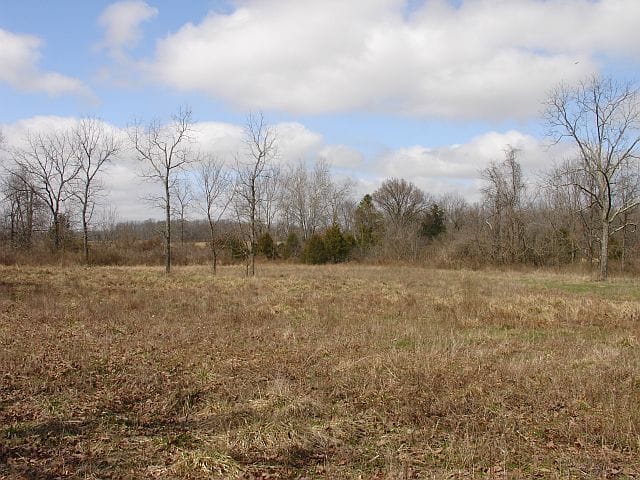 Barnes Hollow Tract 2 photo 7