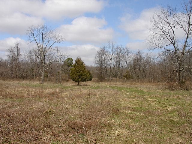 Barnes Hollow Tract 2 photo 8