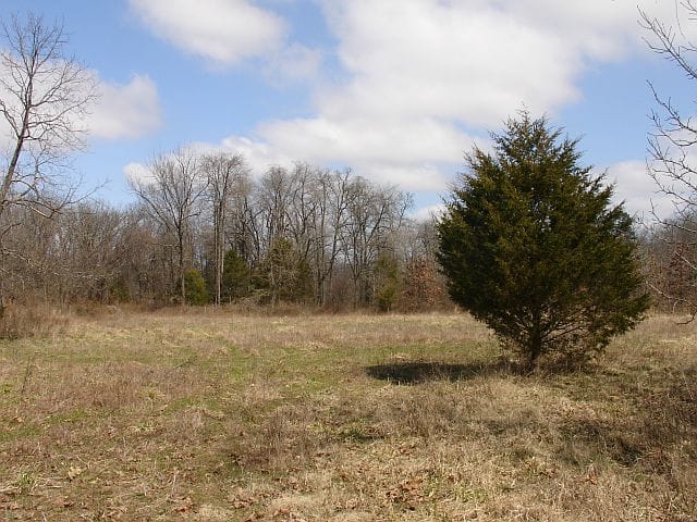 Barnes Hollow Tract 2 photo 9