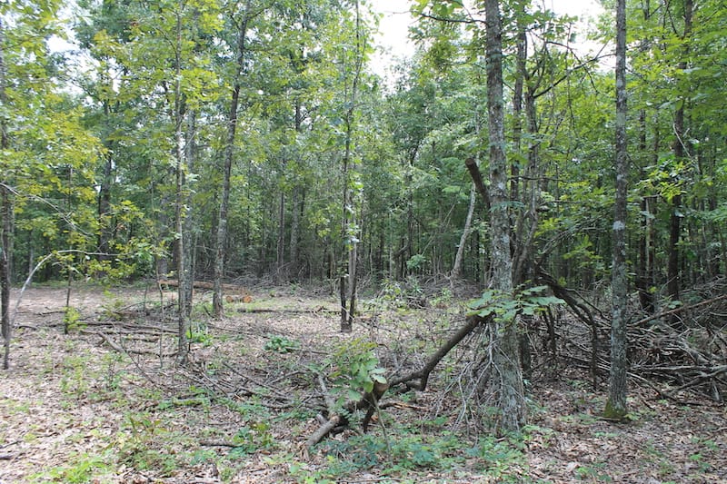 Barnes Hollow Tract 2 photo 11