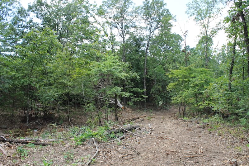 Barnes Hollow Tract 2 photo 12