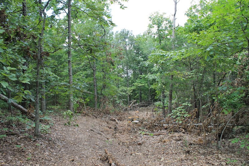 Barnes Hollow Tract 2 photo 13