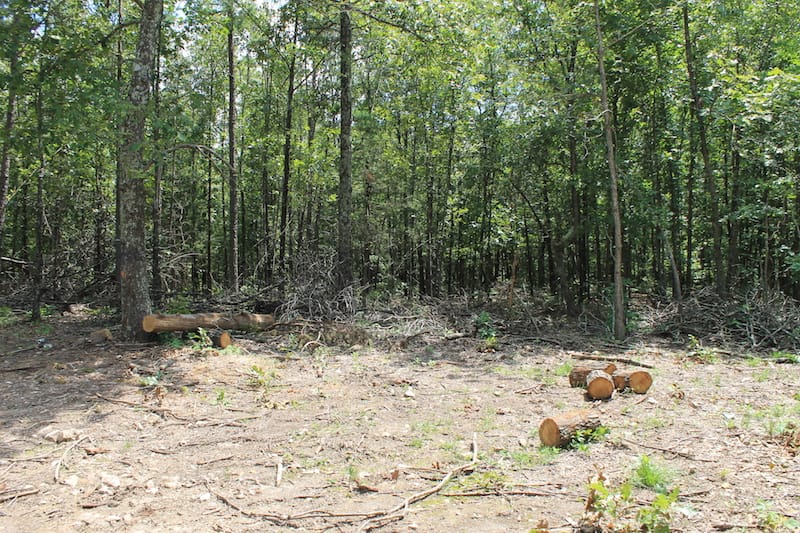 Barnes Hollow Tract 2 photo 14