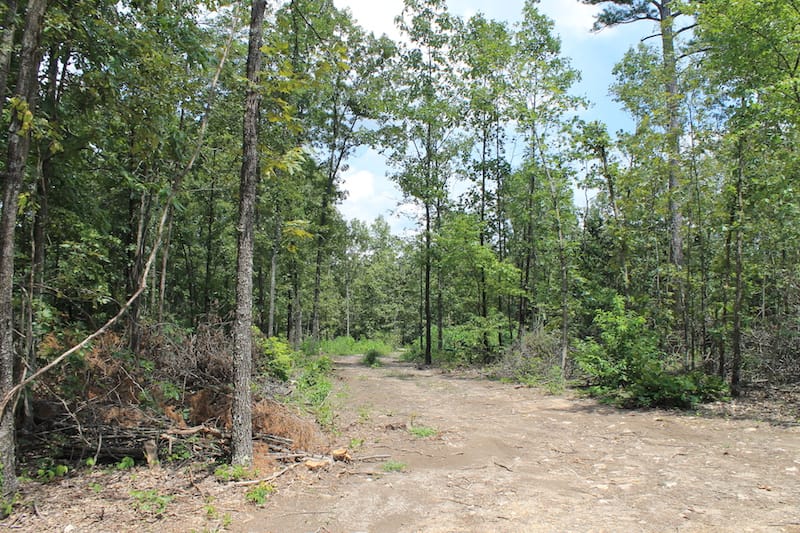 Barnes Hollow Tract 2 photo 15