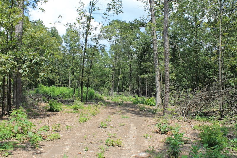 Barnes Hollow Tract 2 photo 16