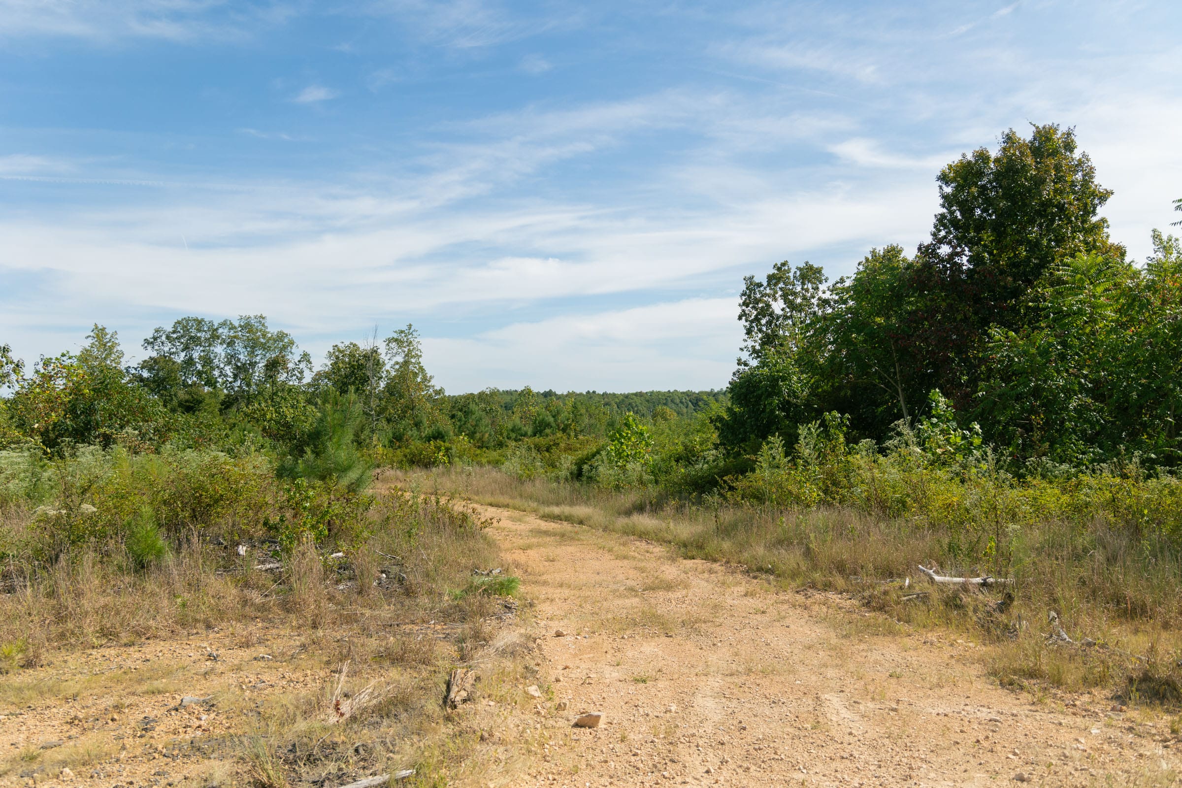 Big White Oak Tract 38 photo 5