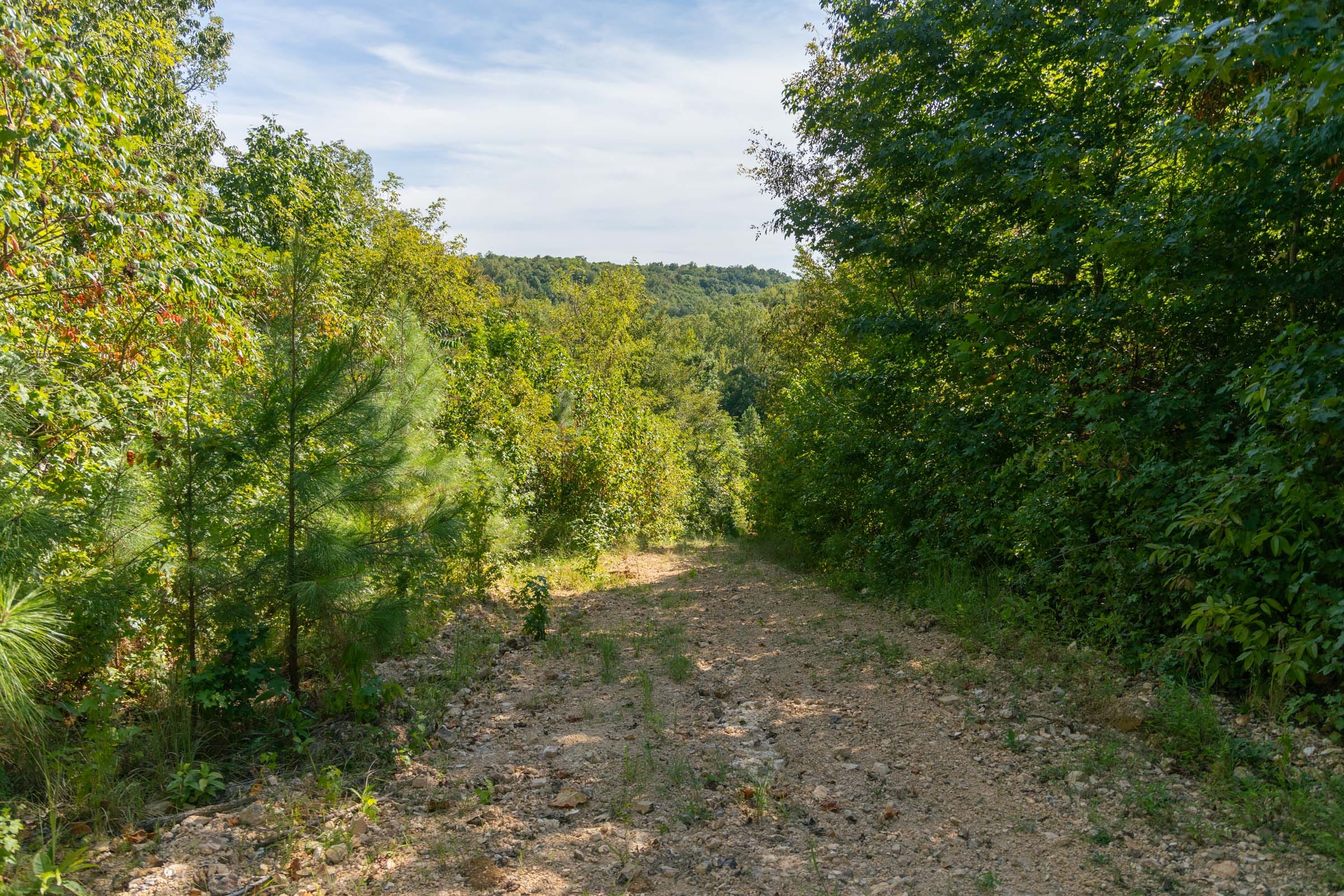 Big White Oak Tract 38 photo 1