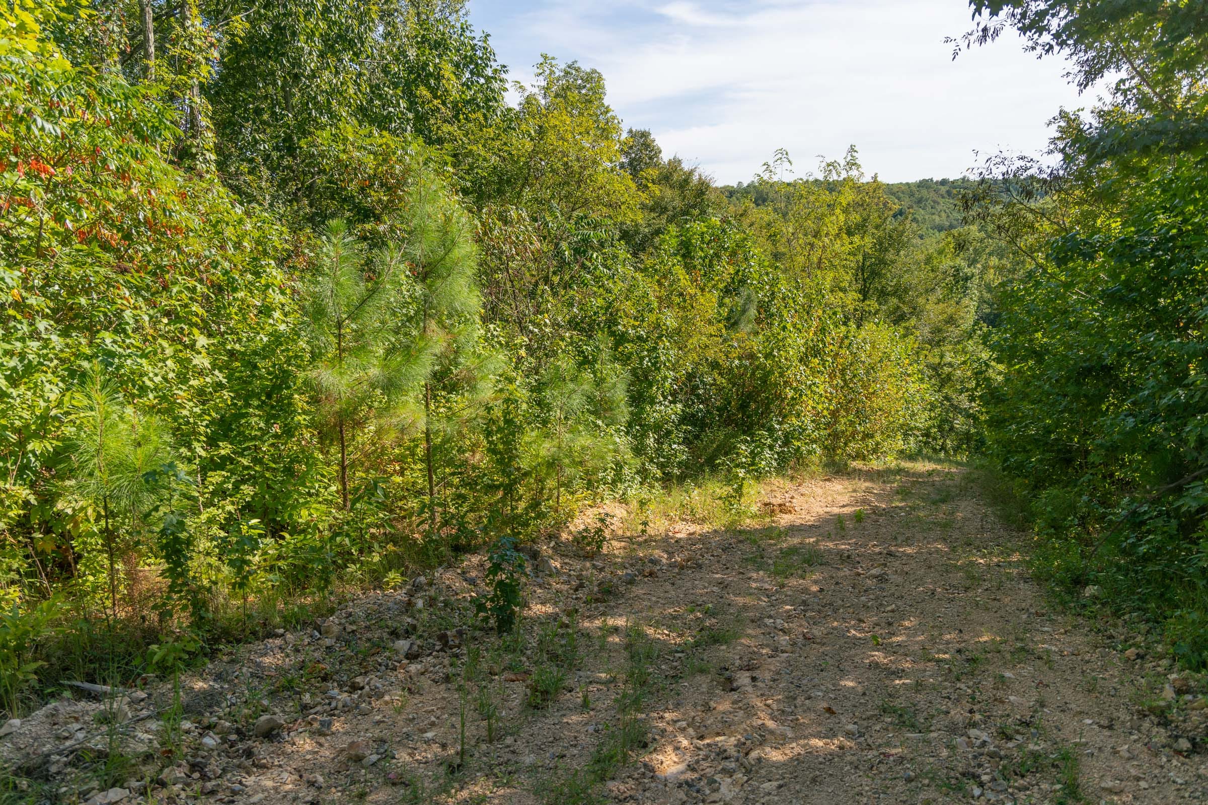 Big White Oak Tract 38 photo 2