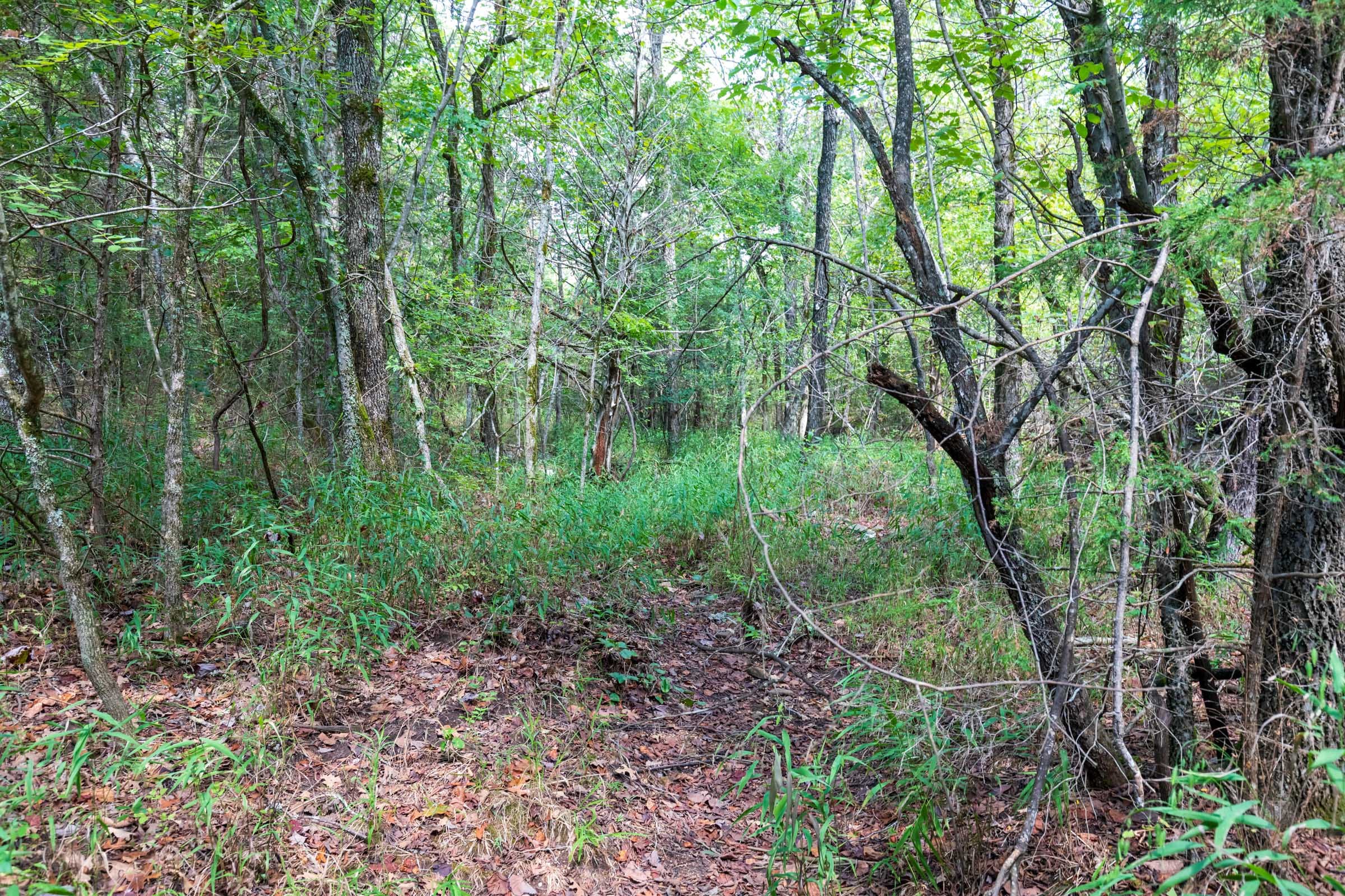 Heritage Bend Tract 34 photo 15