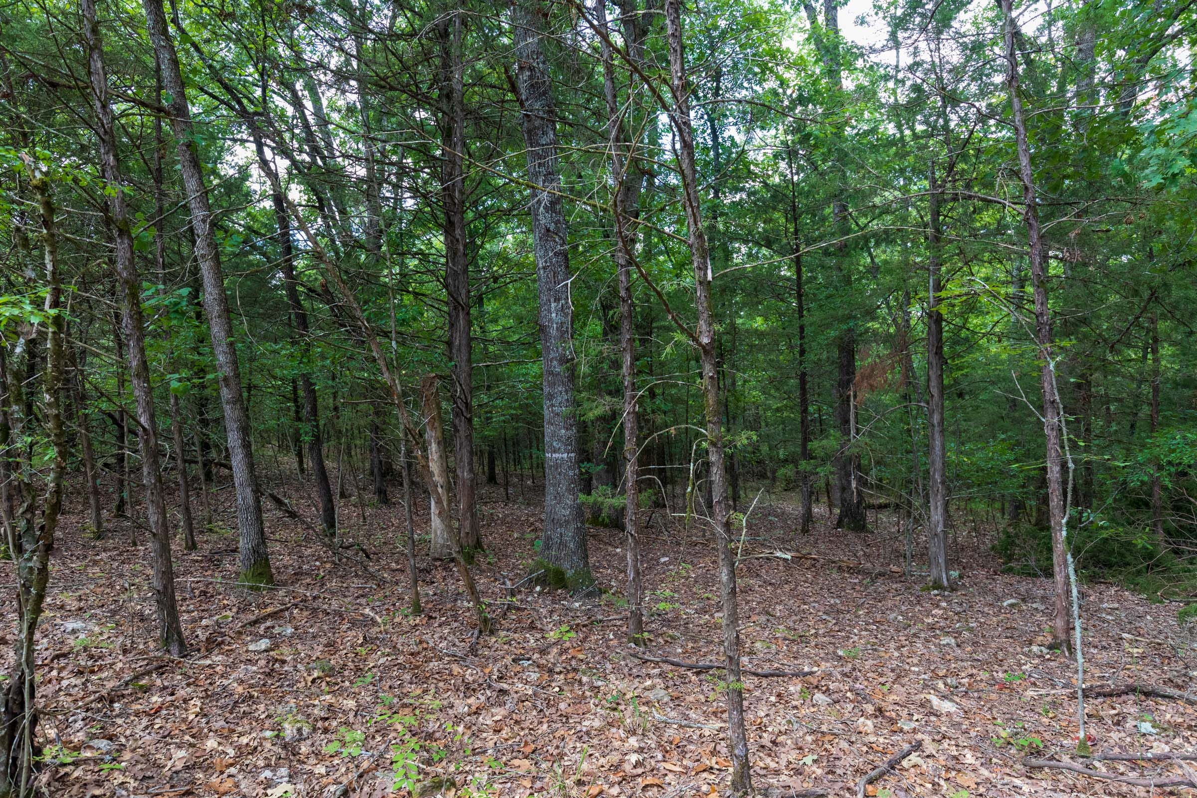 Heritage Bend Tract 34 photo 12