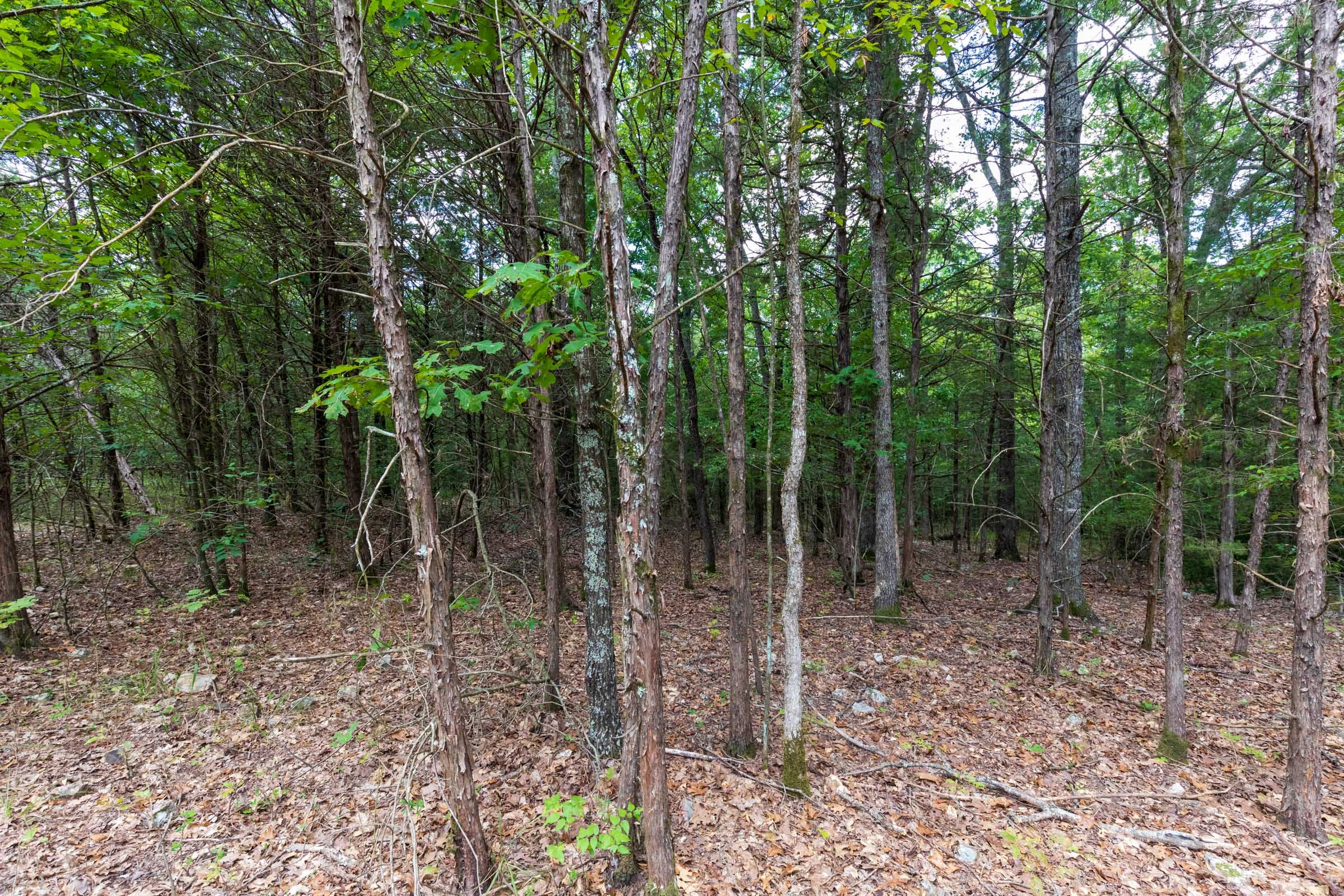 Heritage Bend Tract 34 photo 10